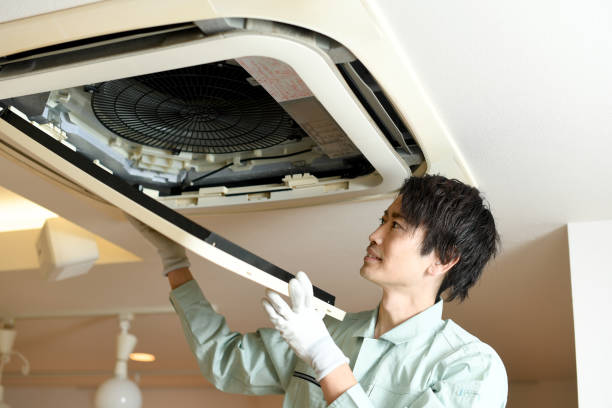 Air Duct Mold Removal in VA